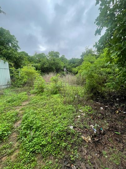 Mazal Waddo, Anjuna Main Image 1