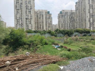 Residential Plot