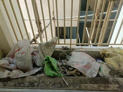 Balcony Image of 700 Sq.ft 1 BHK Apartment / Flat for sale in Creative Marvel, Ulwe Navi Mumbai for Rs. 5500000