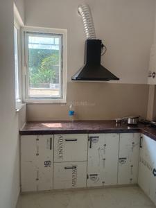 Kitchen Image of 648 Sq.ft 3 BHK Villa for rent in Lalarpura Jaipur for Rs. 22000