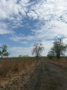 Image of 530 Sq.ft 1 RK Farm House for sale in Wanadongri, Nagpur for Rs. 1680000