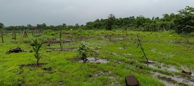 Residential Plot