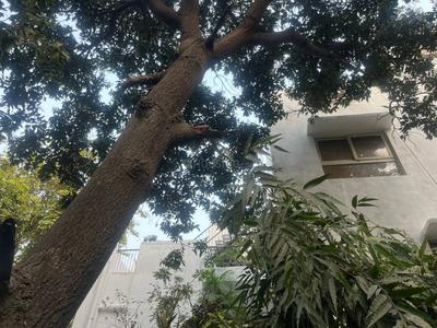 Image of 3000 Sq.ft 4 BHK Builder Floor for sale in Saket, New Delhi for Rs. 56500000