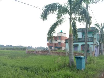 Image of 1100 Sq.ft Residential Plot / Land for sale in Sankharipota, Raypur for Rs. 700000