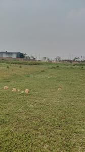 Image of 1760 Sq.ft Residential Plot / Land for sale in Lashkaripur, Muzaffarpur for Rs. 1000000