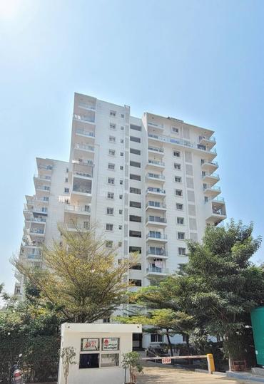 Trifecta Starlight Main Image 1