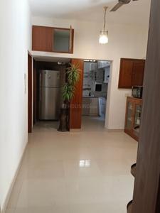 Hall Image of 1500 Sq.ft 3 BHK Apartment / Flat for rent in Alaknanda New Delhi for Rs. 100000
