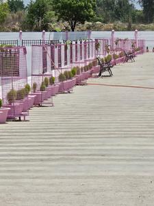 Image of 1000 Sq.ft Residential Plot / Land for sale in Amausi, Lucknow for Rs. 1100000