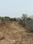 Deeplai construction company  Plot View 2