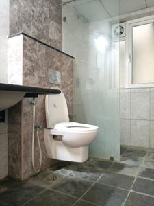 Common Bathroom Image of 2024 Sq.ft 3 BHK Apartment / Flat for sale in Pashmina Waterfront, Battarahalli Bengaluru for Rs. 23000000