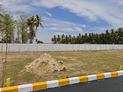 Madanapuram Plot View 1