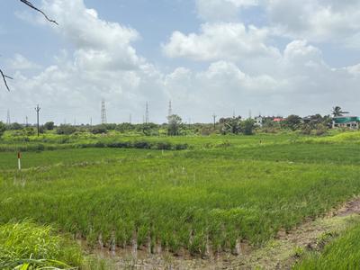 Image of 1089 Sq.ft Residential Plot / Land for sale in Uran, Navi Mumbai for Rs. 500000