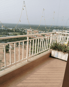 Image of 6160 Sq.ft 5 BHK Penthouse for sale in Adani Water Lily, Shantigram, Ahmedabad for Rs. 47500000