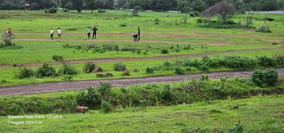 Image of 4446 Sq.ft Residential Plot / Land for sale in Shinde, Nashik for Rs. 4693000