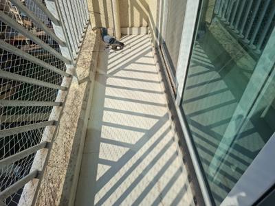 Balcony Image of 1800 Sq.ft 4 BHK Apartment / Flat for sale in B Chopda Oval Apartments, Kharghar Navi Mumbai for Rs. 25000000