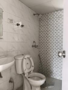 Common Bathroom Image of 1424 Sq.ft 3 BHK Apartment / Flat for sale in Eros Sampoornam, Noida Extension Greater Noida for Rs. 13500000