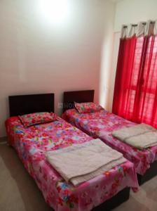 Bedroom Image of 600 Sq.ft 1 BHK Apartment / Flat for rent in Amit Colori, Undri Pune for Rs. 16000