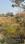 Sector-13 Plot View 2