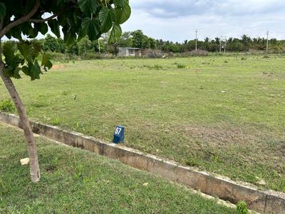 Danagalli Plot View 2