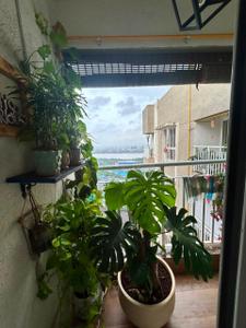 Balcony Image of 735 Sq.ft 2 BHK Apartment / Flat for rent in Lodha Amara, Kolshet Thane for Rs. 60000