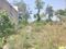 Sector 45 Main Image 1