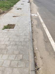 Image of 4500 Sq.ft Residential Plot / Land for sale in Science City, Ahmedabad for Rs. 62500000