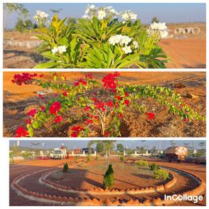 Image of 1980 Sq.ft Residential Plot / Land for sale in JB Pride, Shankarpally, Hyderabad for Rs. 1760000