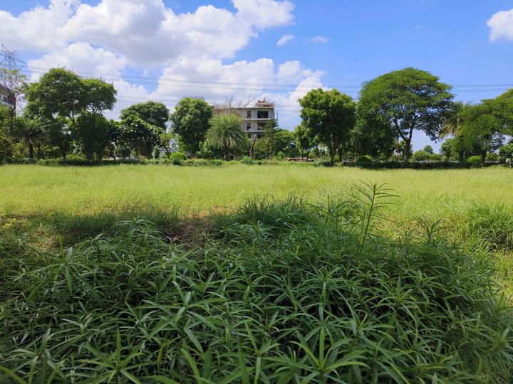 Huda Plots Sector 37 C Main Image 1