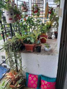 Balcony Image of 1350 Sq.ft 3 BHK Apartment / Flat for sale in Sadguru Poonam Heights, Goregaon West Mumbai for Rs. 43500000