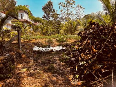 Image of 566 Sq.ft Residential Plot / Land for sale in Athirampuzha, Kottayam for Rs. 145000