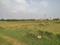 Knowledge Park 3 Plot View 2