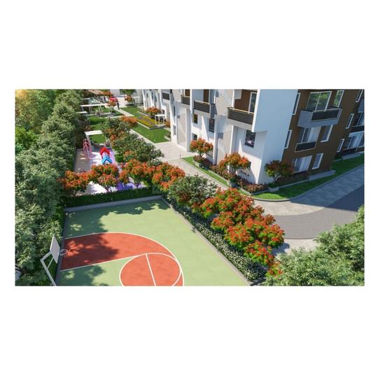 IRA Miracle Main Image 1