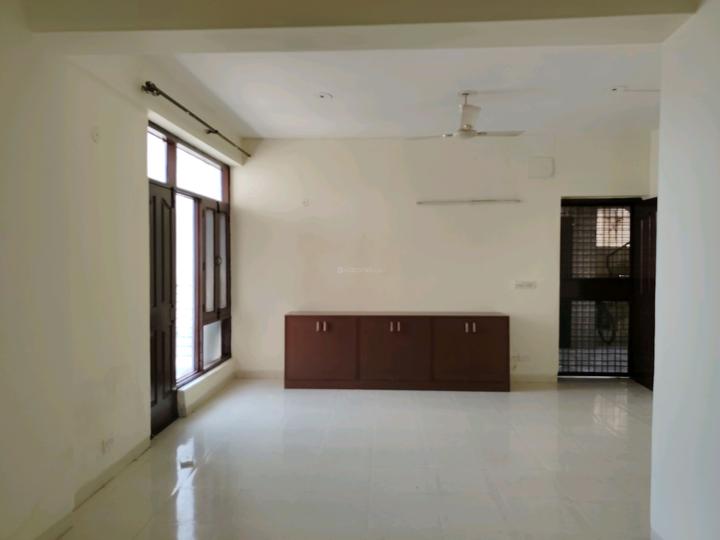 Tulip Orange Main Image 1