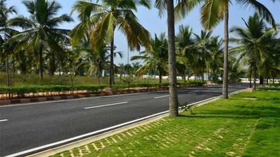 Arvind Orchards Plot View 2