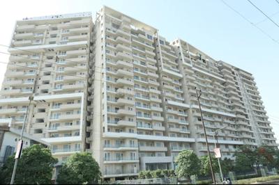 Image of 1875 Sq.ft 3 BHK Apartment / Flat for rent in Swami Nirman Nirman Shanker Greens, Shamsabad, Agra for Rs. 28000