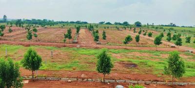 Image of 800 Sq.ft Residential Plot / Land for sale in Sambaragidada Kavalu, Chikballapur District for Rs. 1439200
