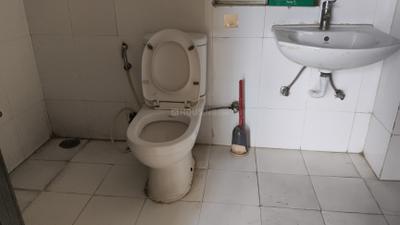 Image of 1100 Sq.ft 2 BHK Apartment / Flat for rent in Amrapali Eden Park, Sector 50, Noida for Rs. 32000