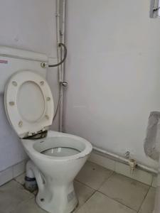 Common Bathroom One Image of 1000 Sq.ft 2 BHK Apartment / Flat for rent in Janakpuri New Delhi for Rs. 24000