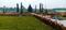 Swathi Luckie Township Phase 3 Main Image 1