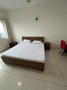 Bedroom Image of 450 Sq.ft 1 RK Apartment / Flat for rent in Wegmans Signature Tower, Knowledge Park 3 Greater Noida for Rs. 20000