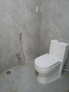 Common Bathroom Image of 546 Sq.ft 1 BHK Apartment / Flat for rent in Ameerpet Hyderabad for Rs. 13100