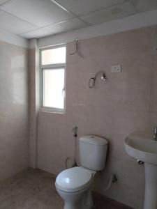 Common Bathroom Image of 1000 Sq.ft 2 BHK Apartment / Flat for sale in Amrapali Verona Heights, Noida Extension Greater Noida for Rs. 7312500