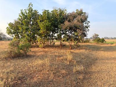 Image of 1350 Sq.ft Residential Plot / Land for sale in Padakal, Ranga Reddy for Rs. 1000000