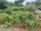 Sorkha Main Image 1