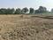 Kisan Path Plot View 2