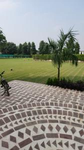 Image of 9072 Sq.ft Residential Plot / Land for sale in Dkrrish Alaska Farms, Nagla Nagli, Noida for Rs. 8500000