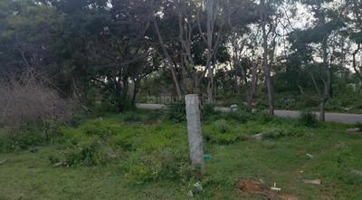 Image of 138303 Sq.ft Residential Plot / Land for sale in Nandi Hills, Chikballapur District for Rs. 254000000