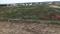 Ganeshpur Plot View 2