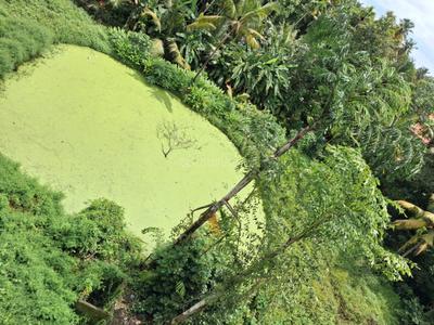 Image of 19491 Sq.ft Residential Plot / Land for sale in Irinjalakuda, Thrissur for Rs. 30000000