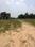 Swapnabhumi Internal Roads 1
